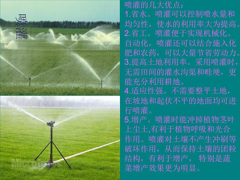 4 圆的面积2（课件）-2021-2022学年数学  六年级上册-冀教版01