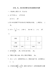 苏教版六上数学期末专项复习卷2