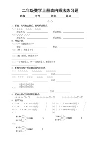 小学数学二年级上册《表内乘法》练习题（共2组）无答案