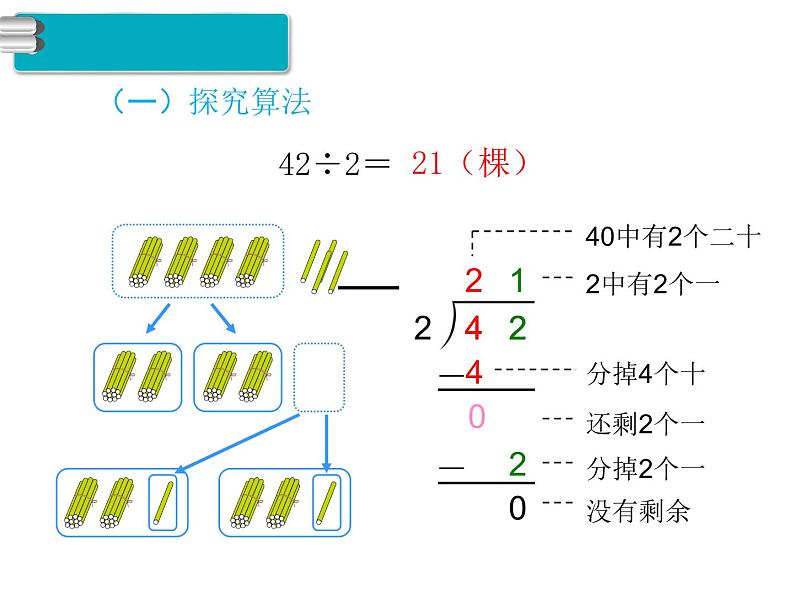 人教版三年级数学下册 第7课时 两位数除以一位数（商是两位数）课件PPT第7页