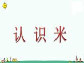 苏教版二上数学《认识米》教学课件
