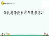 苏教版六上数学2-6分数与分数相乘及分数连乘练习课件PPT