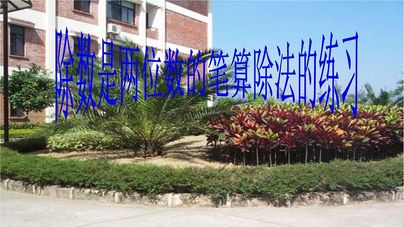 苏教版四上数学四年级数学除数是两位数的除法的练习课件PPT01