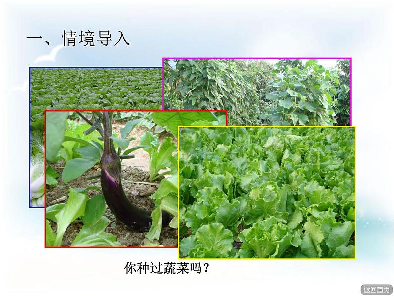 数学三年级下青岛版4乘、除法两步计算解决问题 课件+教案02