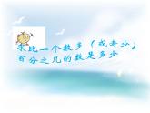 西师大版六下数学1.4问题解决例2 PPT课件