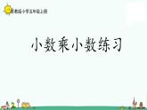苏教版五上数学5-9小数乘小数练习课件PPT