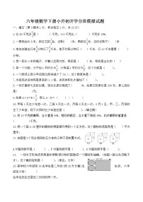 六年级数学下册小升初分班测试题-通用版-word-无答案