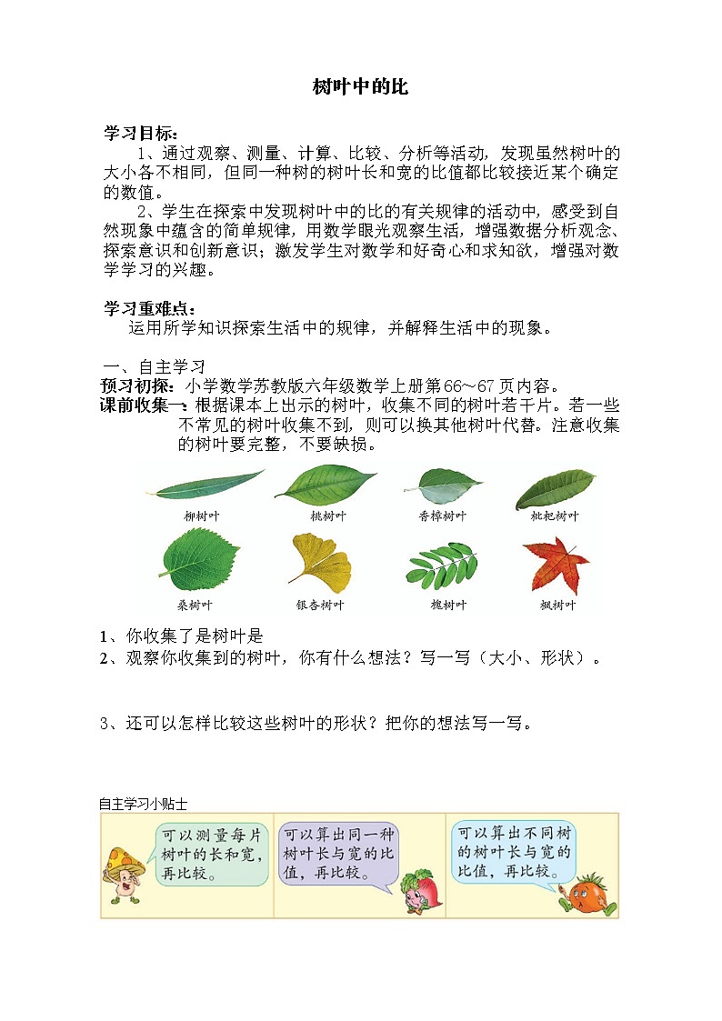 苏教版数学六年级上册  ● 树叶中的比(1) 教案01