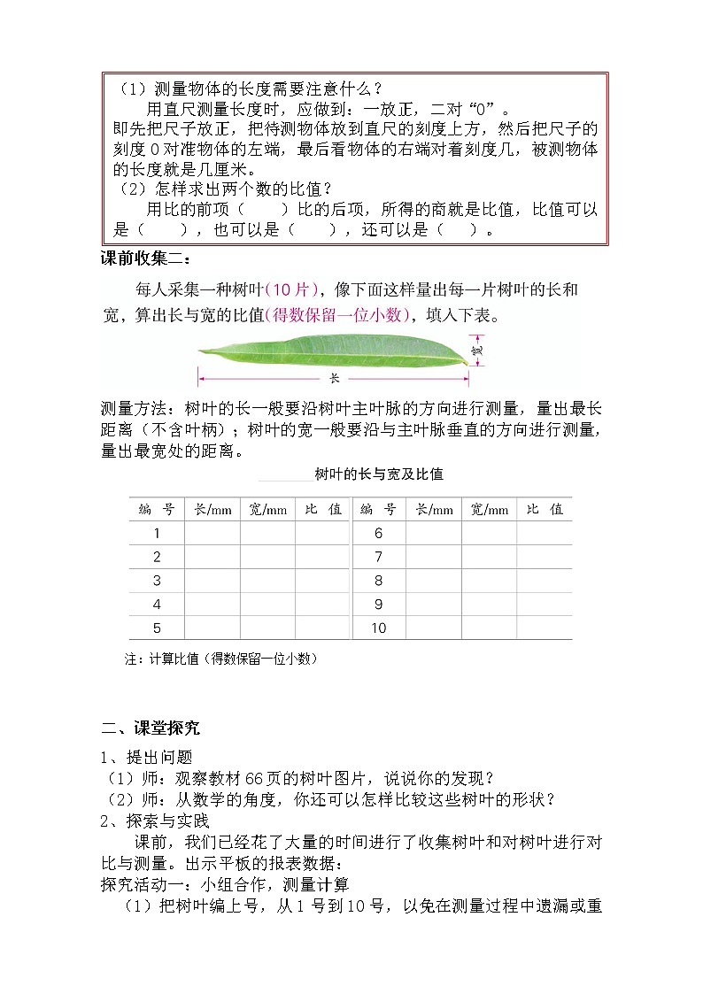 苏教版数学六年级上册  ● 树叶中的比(1) 教案02
