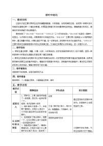 小学数学苏教版六年级上册三 分数除法教案