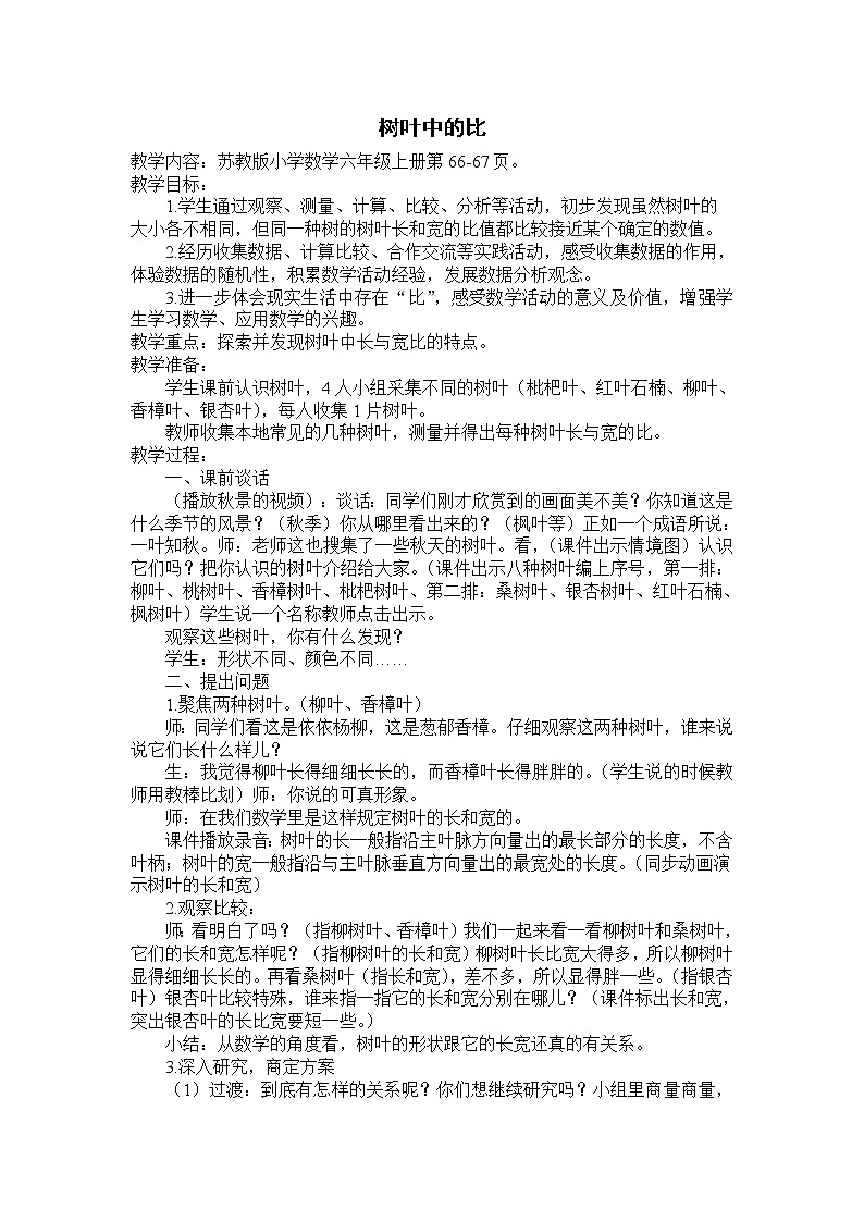 苏教版数学六年级上册  ● 树叶中的比(2) 教案第1页