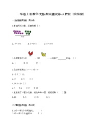 一年级上册数学试题-期末测试卷-人教版（含答案） (9)