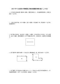 2021年十大名校小升初招生分班必刷题分类汇编（二十九）