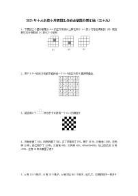 2021年十大名校小升初招生分班必刷题分类汇编（三十九）