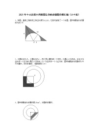 2021年十大名校小升初招生分班必刷题分类汇编（六十五）