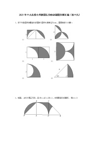 2021年十大名校小升初招生分班必刷题分类汇编（五十九）
