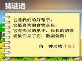 北师大版数学一年级上册 3.3 可爱的小猫_1(课件)