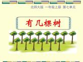 北师大版数学一年级上册 7.4 有几棵树(1)（课件）