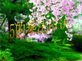 1.5 5的乘法口诀（13）（课件）-2021-2022学年数学二年级上册-西师大版