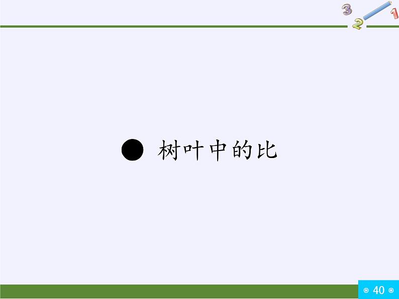 苏教版数学六年级上册 ● 树叶中的比(6) 课件第1页