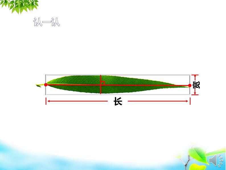 苏教版数学六年级上册 ● 树叶中的比 课件第6页