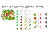 人教版数学一年级下册-03分类与整理-课件05