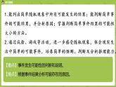 3.蘇教版六下總復(fù)習·統(tǒng)計與可能性課時3課件PPT