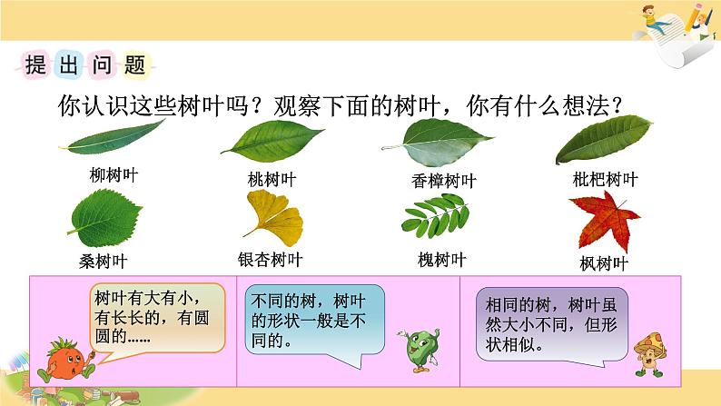 苏教版六年级上册数学课件25.综合实践  树叶中的比第3页