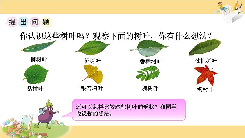 苏教版六年级上册数学课件25.综合实践  树叶中的比第4页