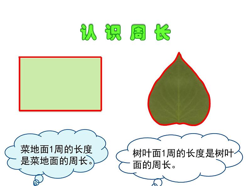 西师大版三年级数学上册 3.2 东南、西南、东北、西北课件PPT第8页