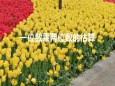 西师大版三年级数学上册 2.1 一位数乘两位数估算课件PPT