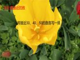 西师大版三年级数学上册 2.1 一位数乘两位数估算课件PPT