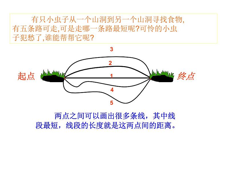 西师大版四年级数学上册 3.1 线段、直线和射线课件PPT第3页