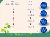 西師大版五年級數學上冊 3 小數除法 整理與復習課件PPT