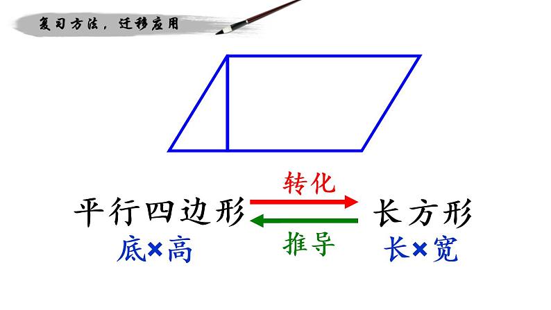 西师大版五年级数学上册 5.2 三角形的面积课件PPT第5页