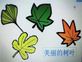 西师大版五年级数学上册 2.3 轴对称图形课件PPT