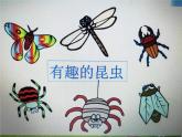 西师大版五年级数学上册 2.3 轴对称图形课件PPT