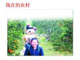 西师大版五年级数学上册 综合与实践：关注惠农政策课件PPT