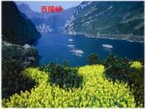 西师大版六年级数学上册 3.2 问题解决课件PPT