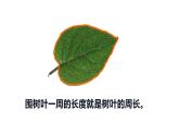7.1 认识周长（课件）-2021-2022学年数学三年级上册-西师大版