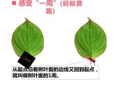 7.1 认识周长（课件）-2021-2022学年数学三年级上册-西师大版