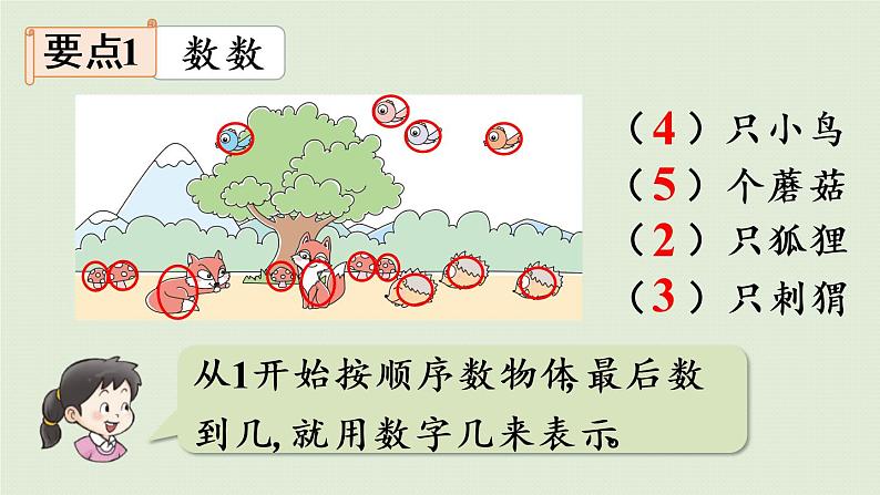 西师版一上总复习第1课时   20以内的数课件PPT04