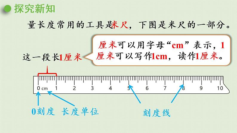 西师版二上第五单元第1课时  用厘米作单位量长度课件PPT第6页