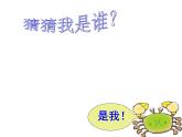 二年级数学上册教学课件-6.2    8的乘法口诀4-人教版