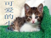 一年级上册数学课件-3.3 可爱的小猫（1）-北师大版