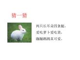 一年级上册数学课件-1.1 快乐的家园（2）-北师大版