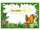 二年级上册数学课件-7.6 快乐的动物（2）-北师大版