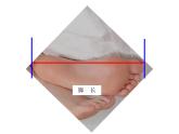 二年级上册数学课件-数学好玩-寻找身上的数学“秘密”（1）-北师大版