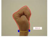 二年级上册数学课件-数学好玩-寻找身上的数学“秘密”（1）-北师大版