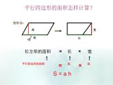 五年级上册数学课件-4.4 探索活动：三角形的面积（3）-北师大版